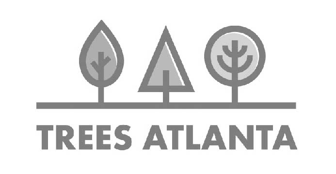 Trees Atlanta